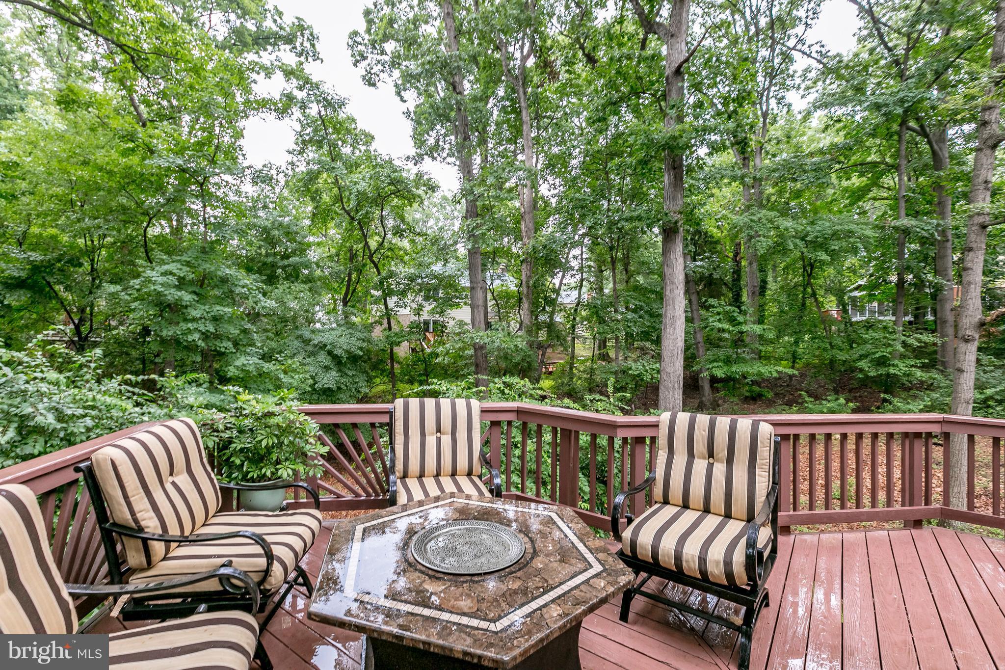 9024 Edgepark Road Vienna, VA 22182 - Photo 27 of 29 Exterior (Rear)
