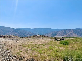 a view of mountain and tree
