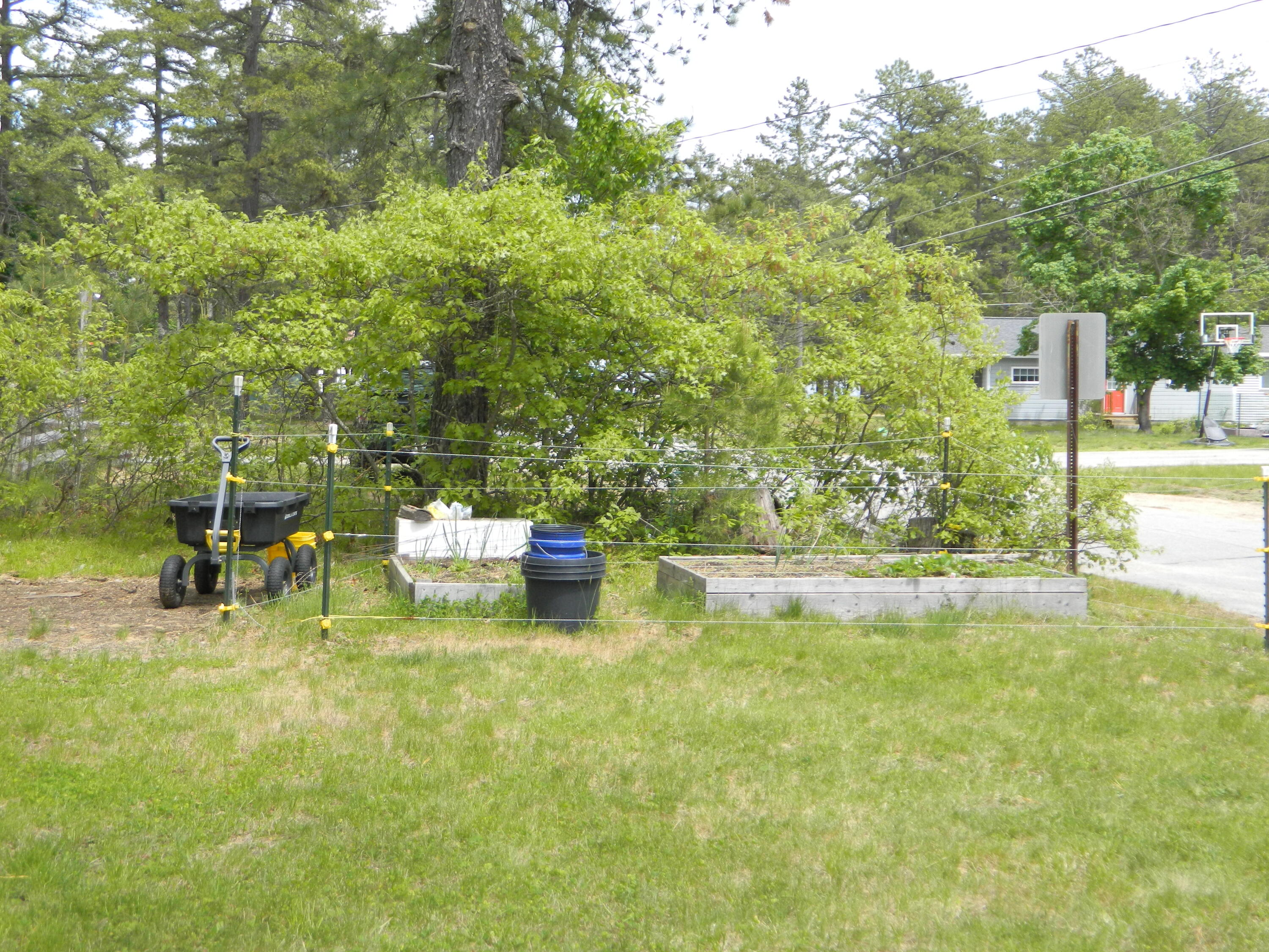 162 Pine Springs Road Shapleigh, ME 04076 - Photo 37 of 41 DSCN9246