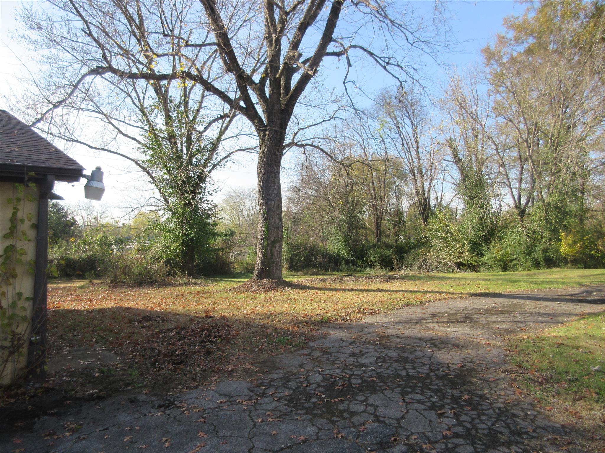 1110 Fowler Street Old Hickory, TN 37138 - Photo 5 of 6 Large back yard