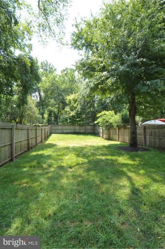 716 West Glebe Road Alexandria, VA 22305 - Photo 18 of 27 a view of a yard with a large tree