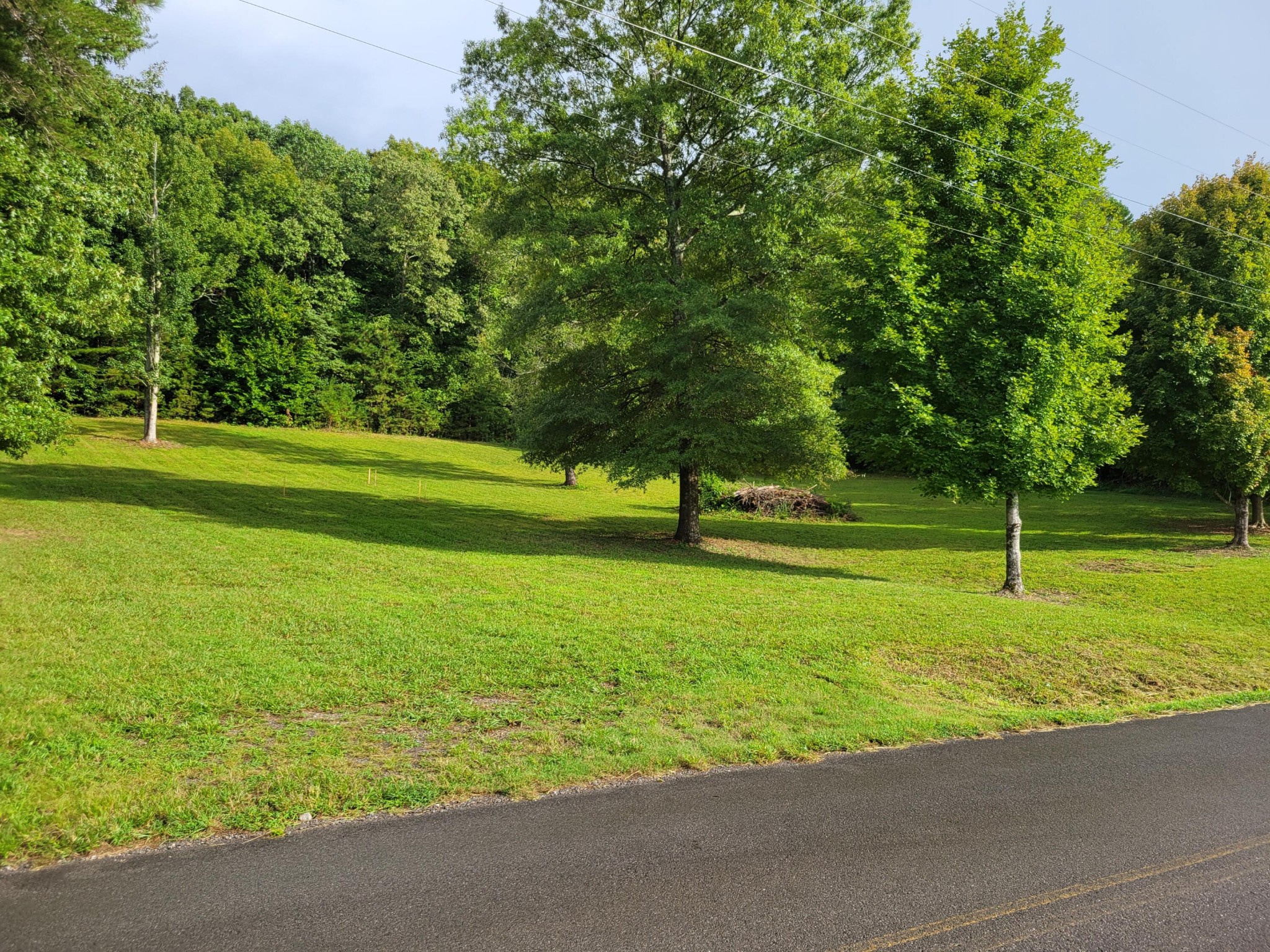 0 Northwest Candies Creek Ridge Road Charleston, TN 37310 - Photo 4 of 12