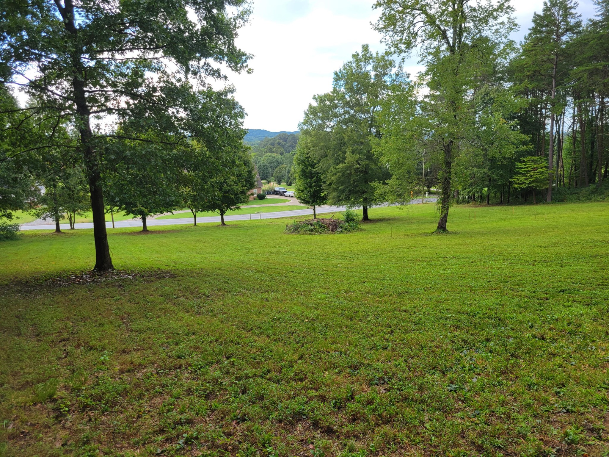 0 Northwest Candies Creek Ridge Road Charleston, TN 37310 - Photo 8 of 12