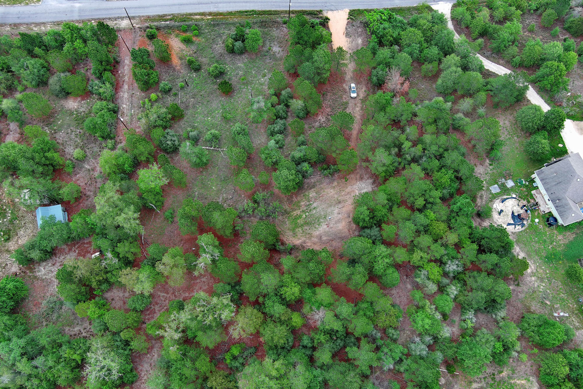 172 Kelley Road East Bastrop, TX 78602 - Photo 16 of 26 a view of a garden with a tree