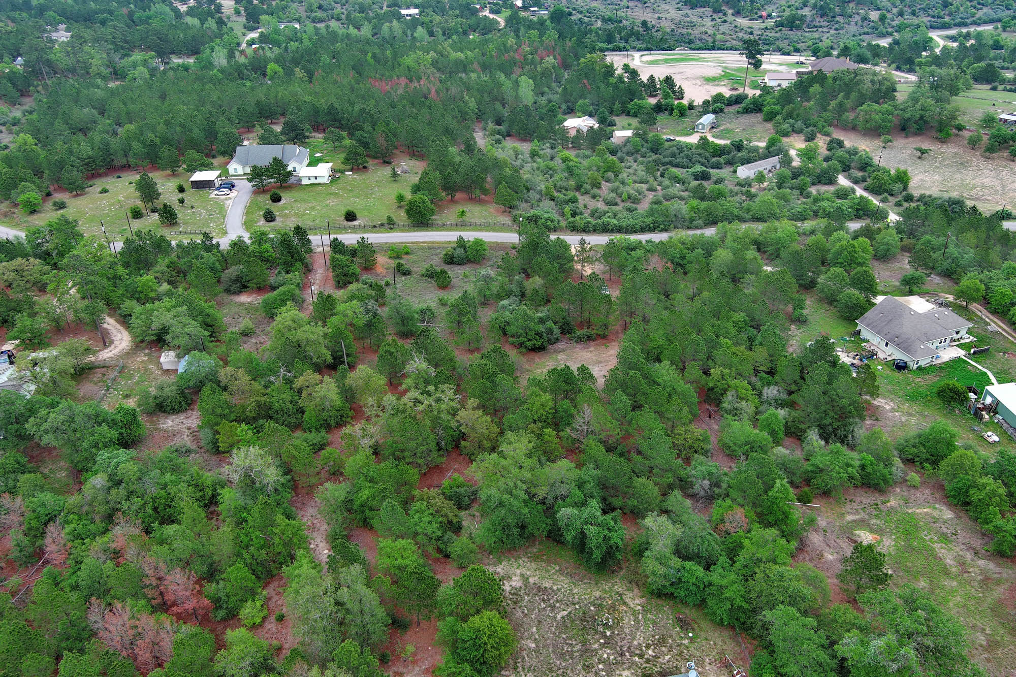 172 Kelley Road East Bastrop, TX 78602 - Photo 6 of 26 a view of a house with a lush green forest