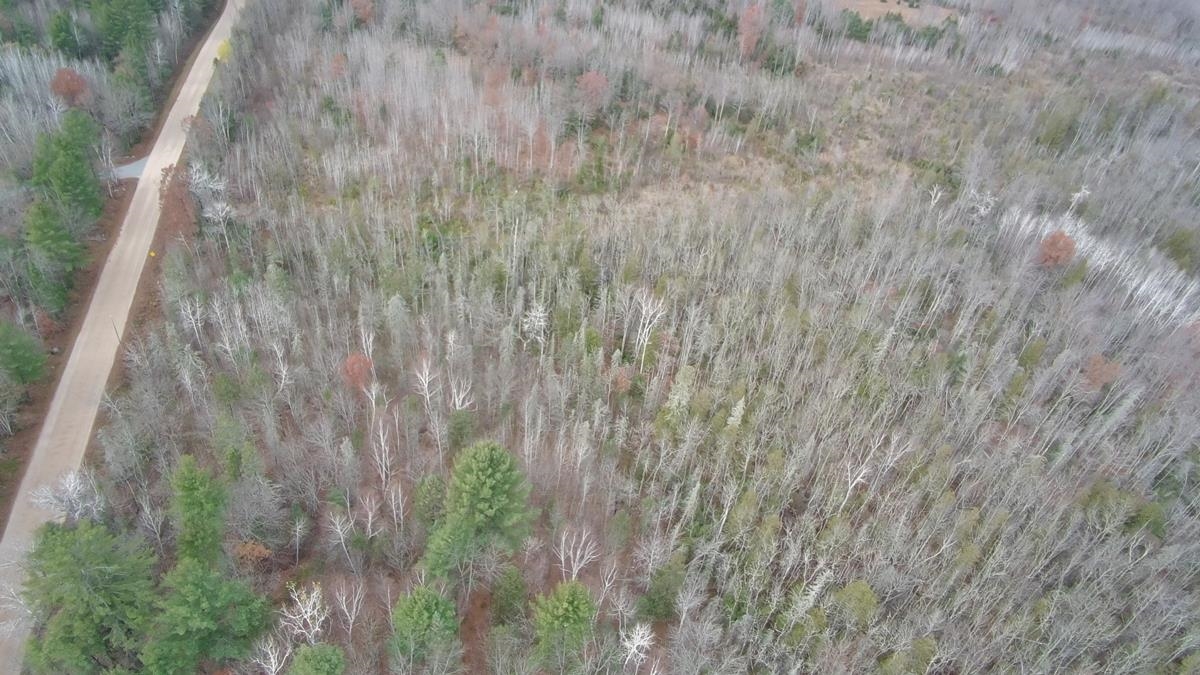 Barker Road Amberg, WI 54102 - Photo 12 of 14