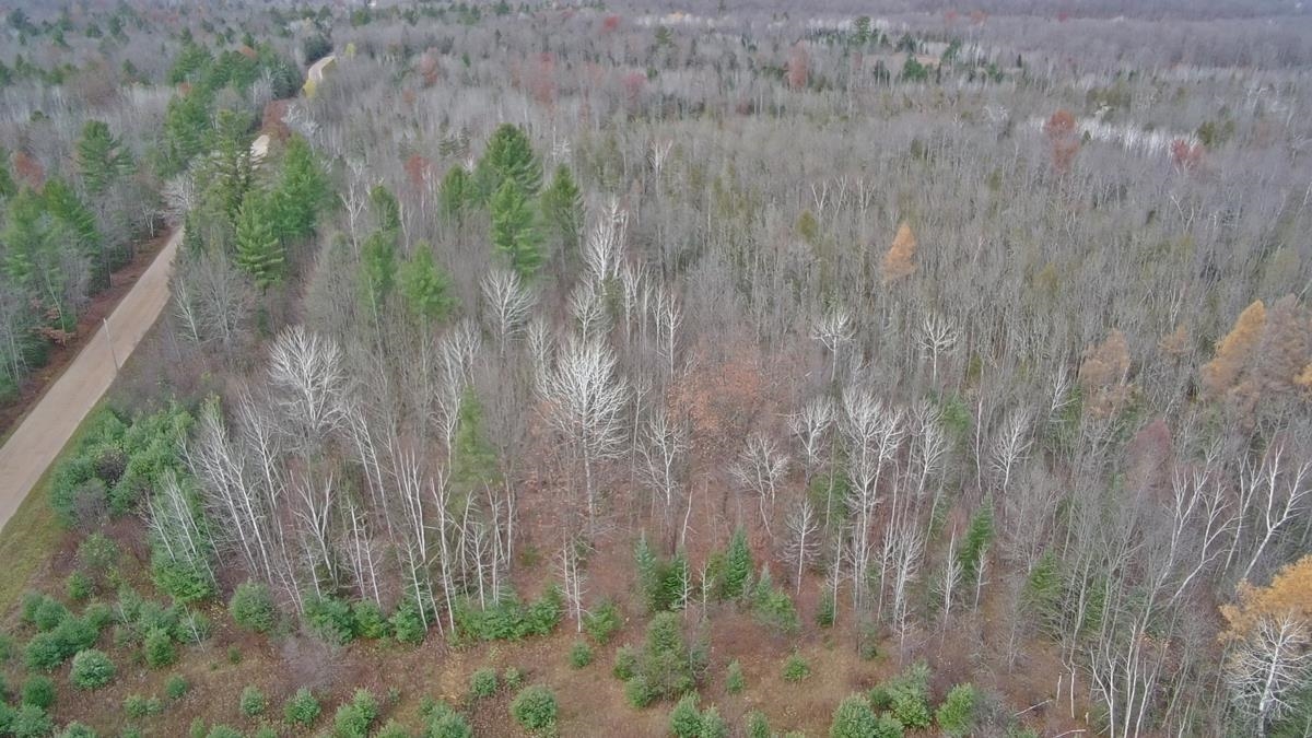 Barker Road Amberg, WI 54102 - Photo 13 of 14