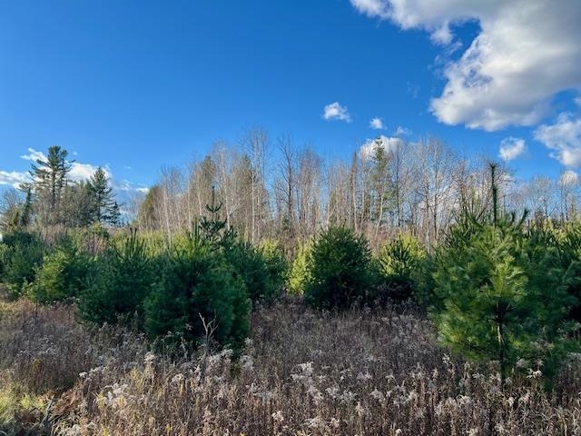 Barker Road Amberg, WI 54102 - Photo 4 of 14