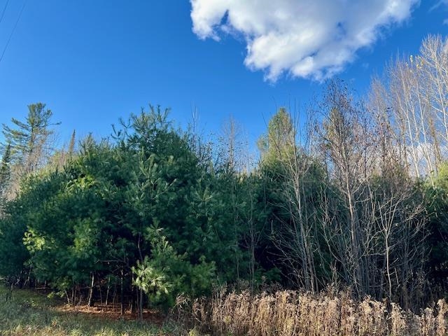 Barker Road Amberg, WI 54102 - Photo 5 of 14