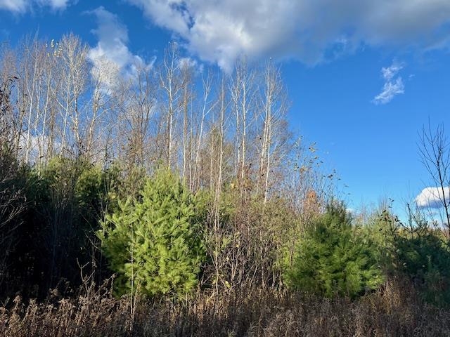 Barker Road Amberg, WI 54102 - Photo 6 of 14