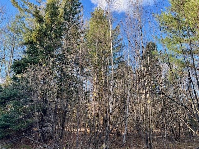 Barker Road Amberg, WI 54102 - Photo 7 of 14