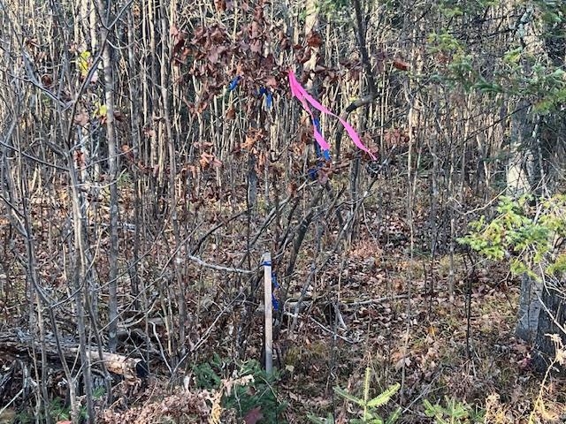 Barker Road Amberg, WI 54102 - Photo 8 of 14