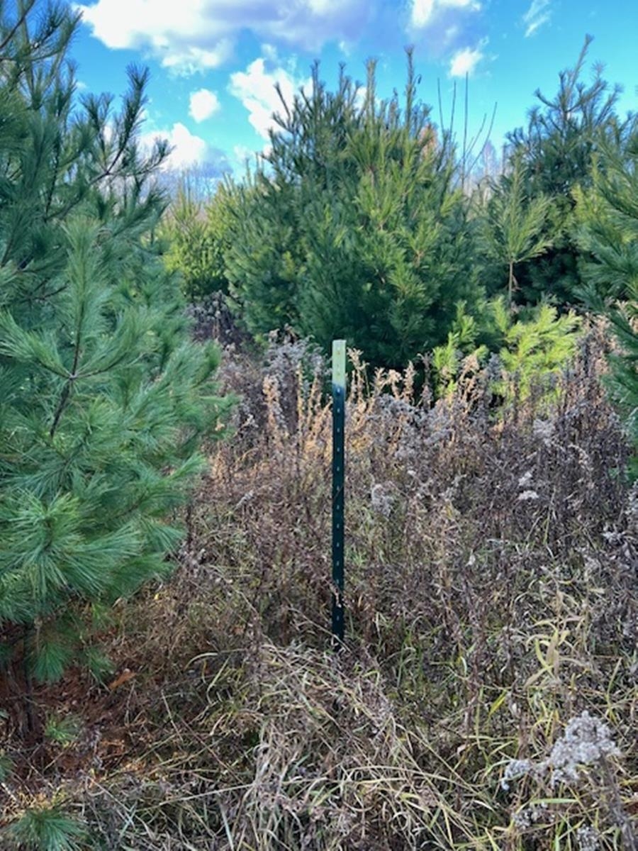 Barker Road Amberg, WI 54102 - Photo 9 of 14