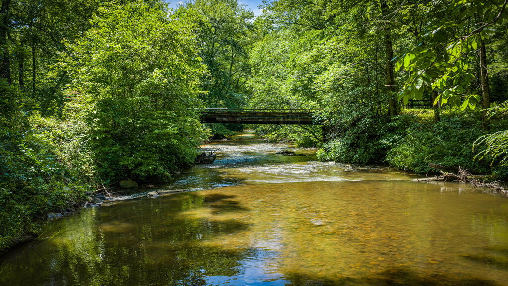 2977 Highway 2 Blue Ridge, GA 30513 - Photo 28 of 87 Gallery Image 28