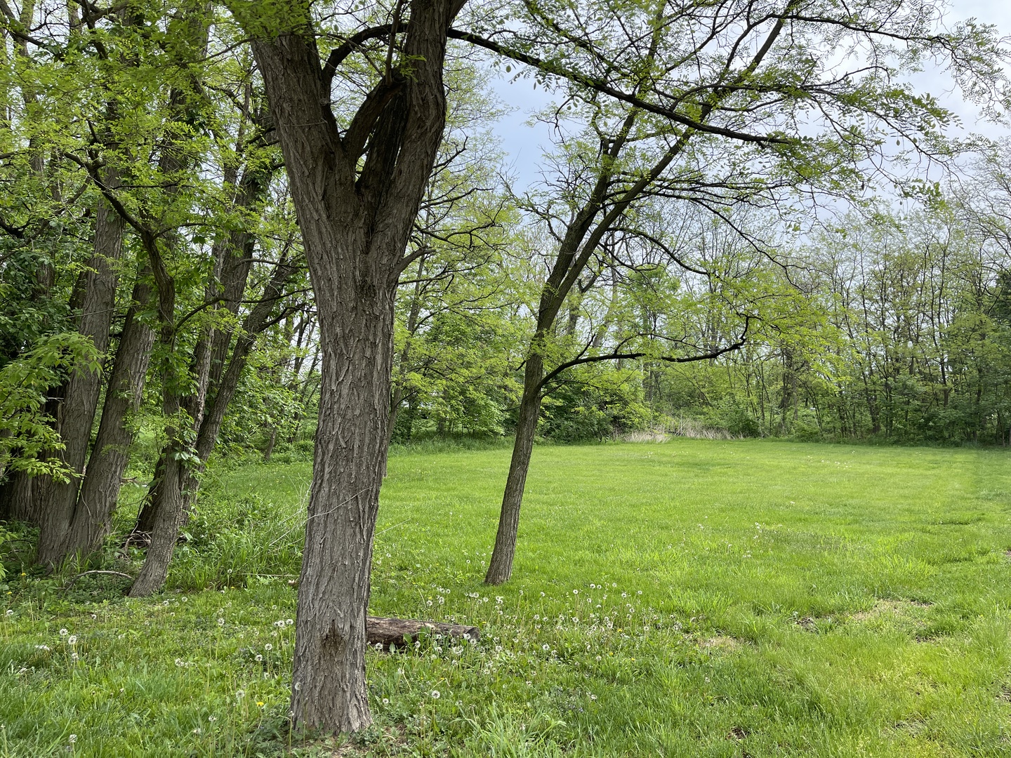 19525 Wolf Road Mokena, IL 60448 - Photo 8 of 32 Gallery Image 8
