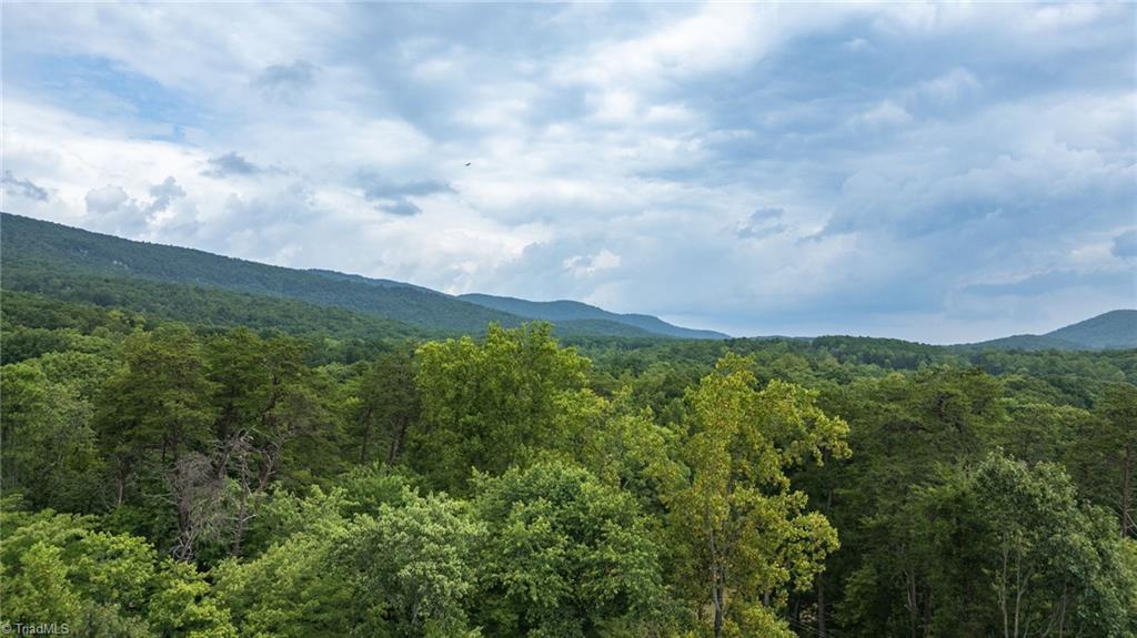 1921 Sizemore Road Germanton, NC 27019 - Photo 28 of 32 Gallery Image 28