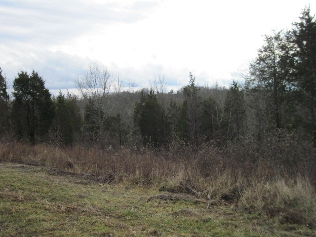 1360 Goldsvalley Road Dry Ridge, KY 41035 - Photo 3 of 7