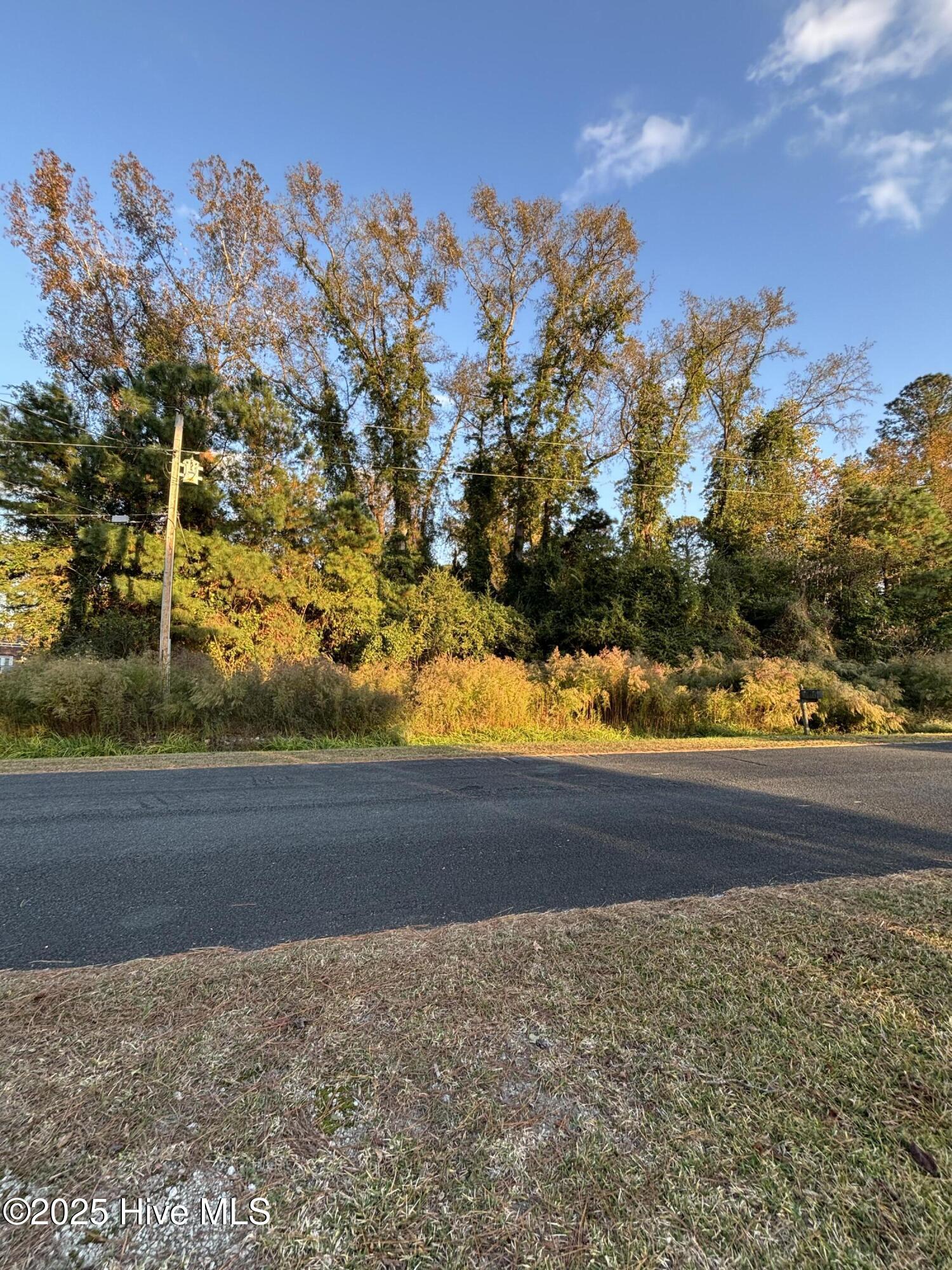 64 High Orchard Road Whiteville, NC 28472 - Photo 12 of 33 Street View (In Front of Home)