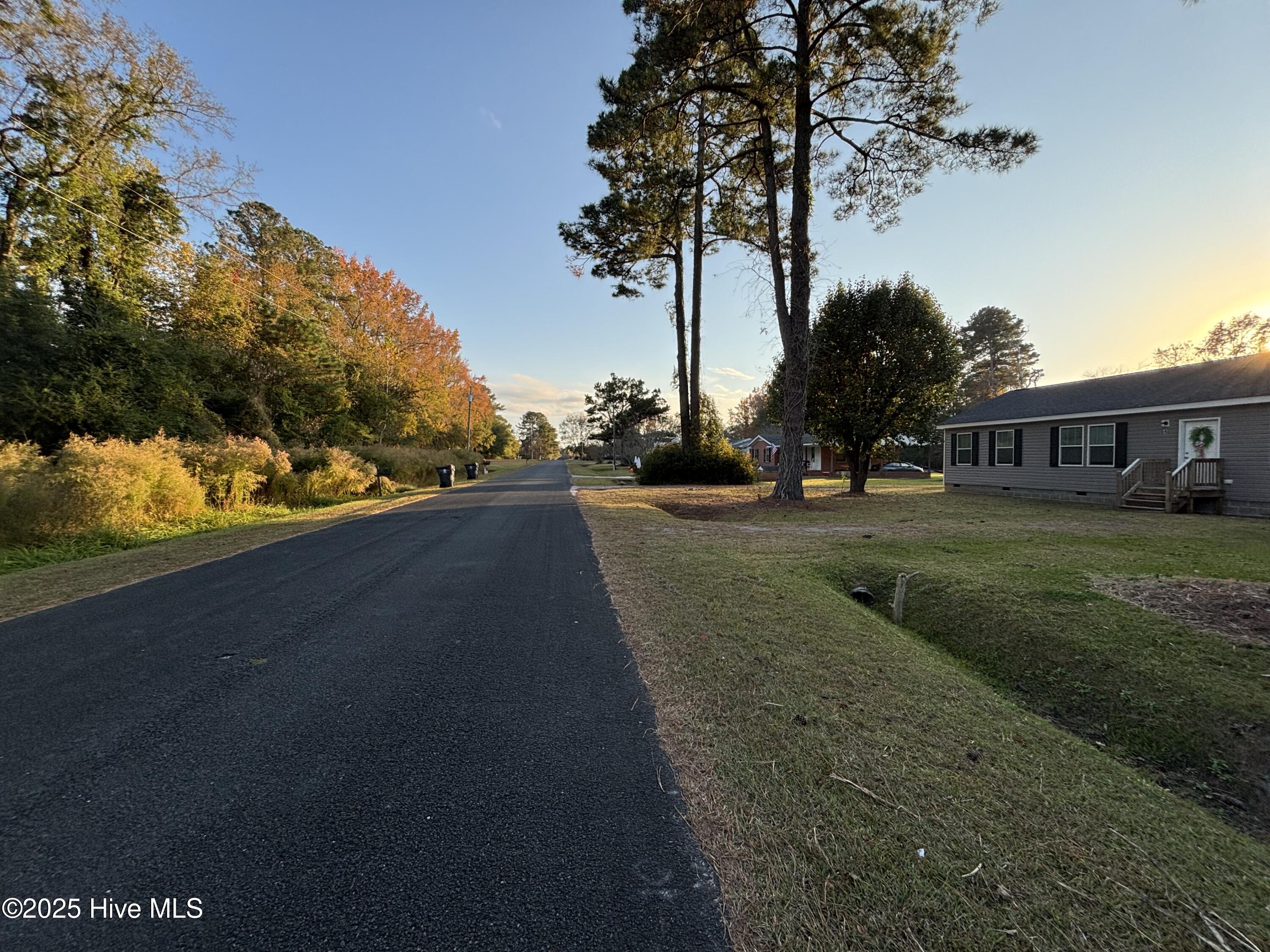 64 High Orchard Road Whiteville, NC 28472 - Photo 13 of 33 Street View (Down High Orchard Rd)