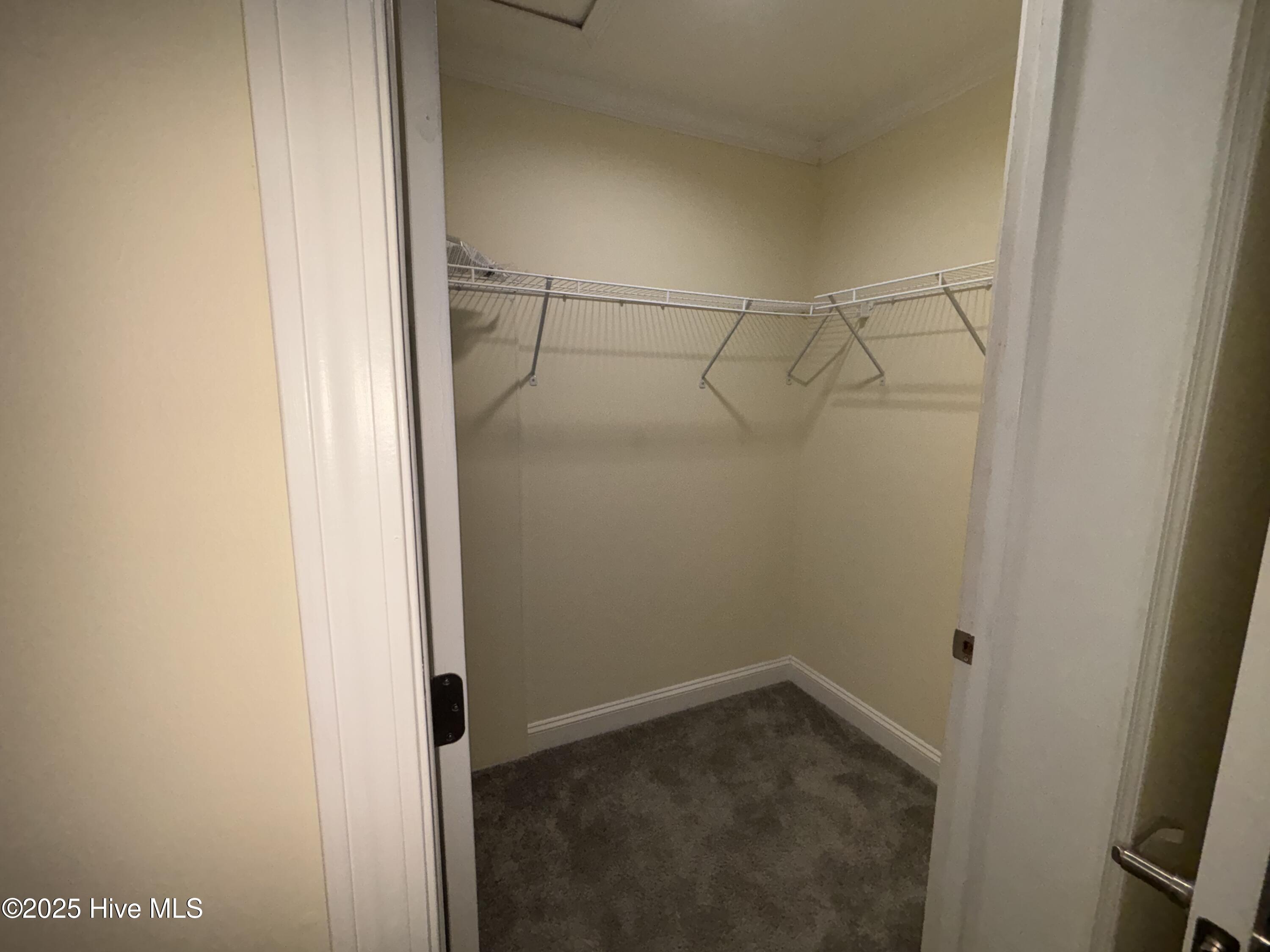 64 High Orchard Road Whiteville, NC 28472 - Photo 24 of 33 Spacious, Walk-in Closet