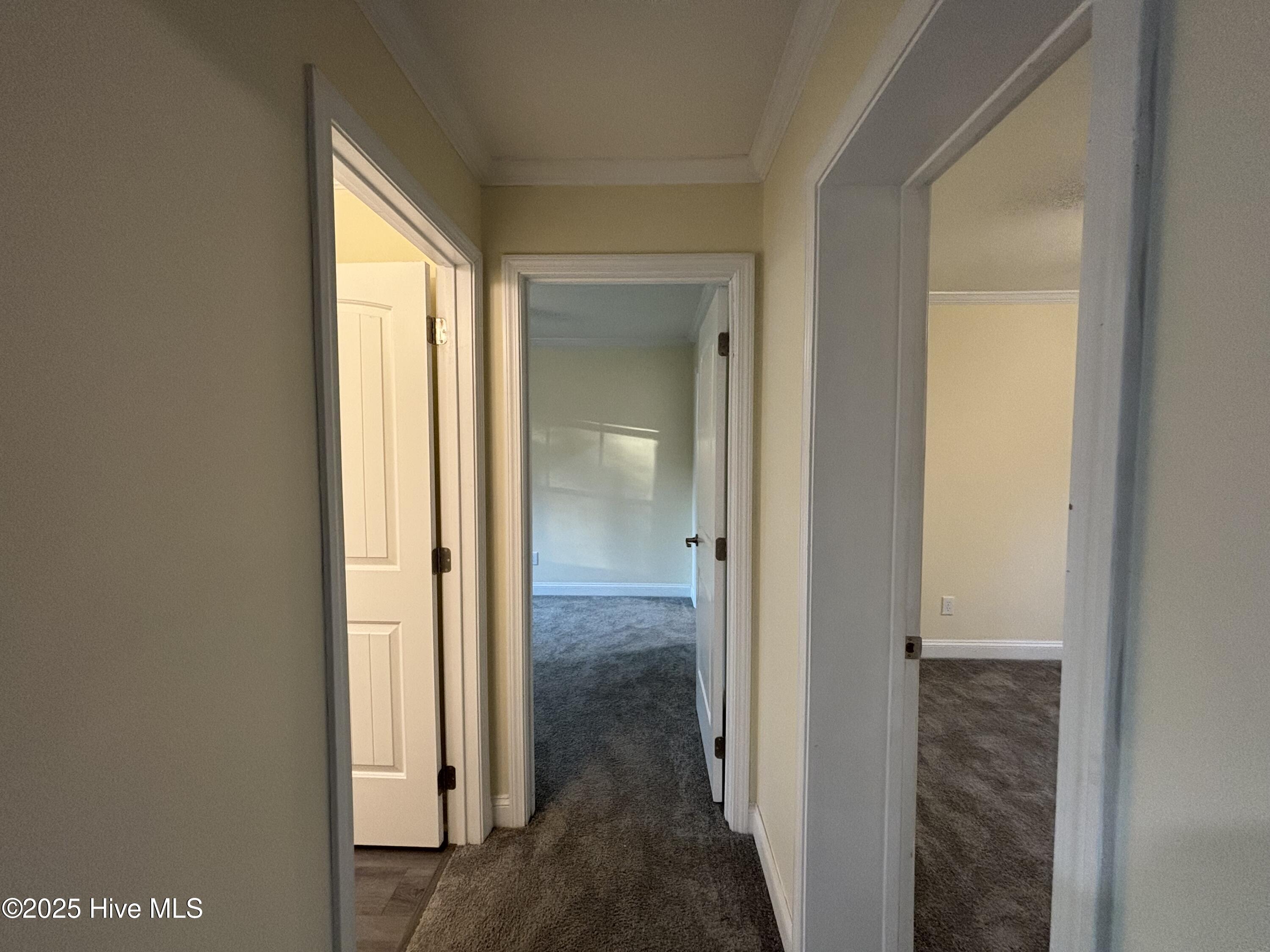 64 High Orchard Road Whiteville, NC 28472 - Photo 28 of 33 Hallway for 2 bedrooms/Guest Full bath