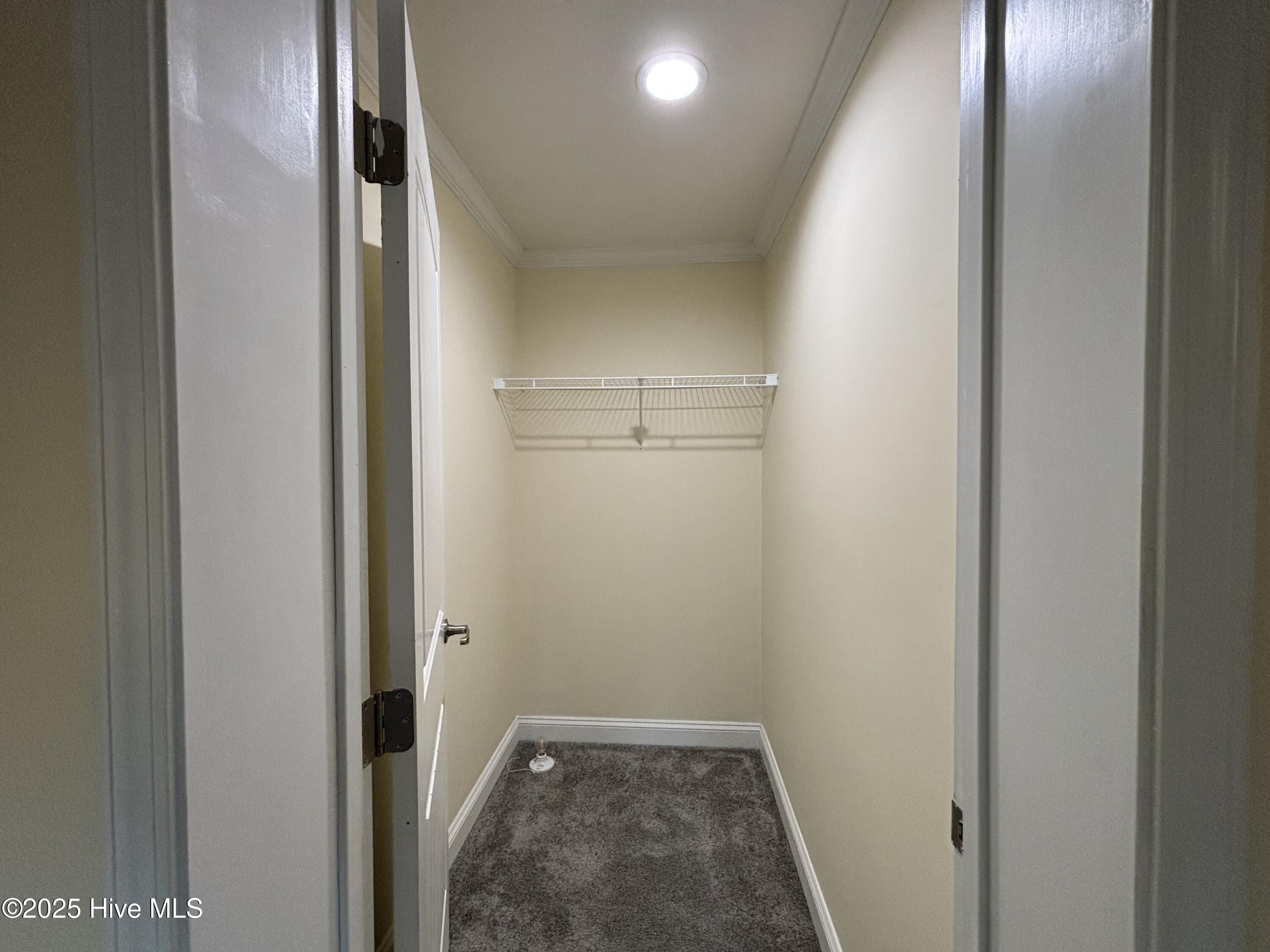 64 High Orchard Road Whiteville, NC 28472 - Photo 30 of 33 Closet (Bedroom #2)