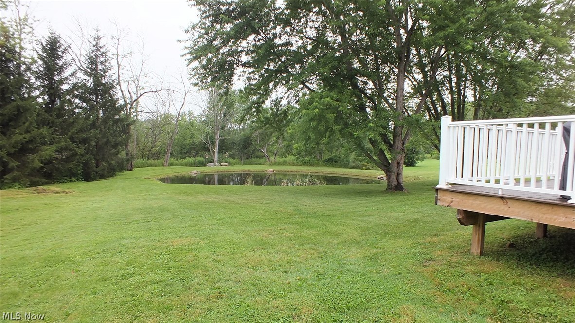 11276 Old State Road Chardon, OH 44024 - Photo 9 of 35 back yard & pond