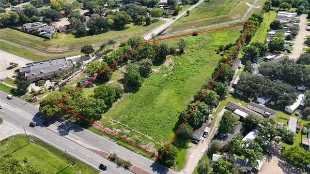 a view of a garden with flowers