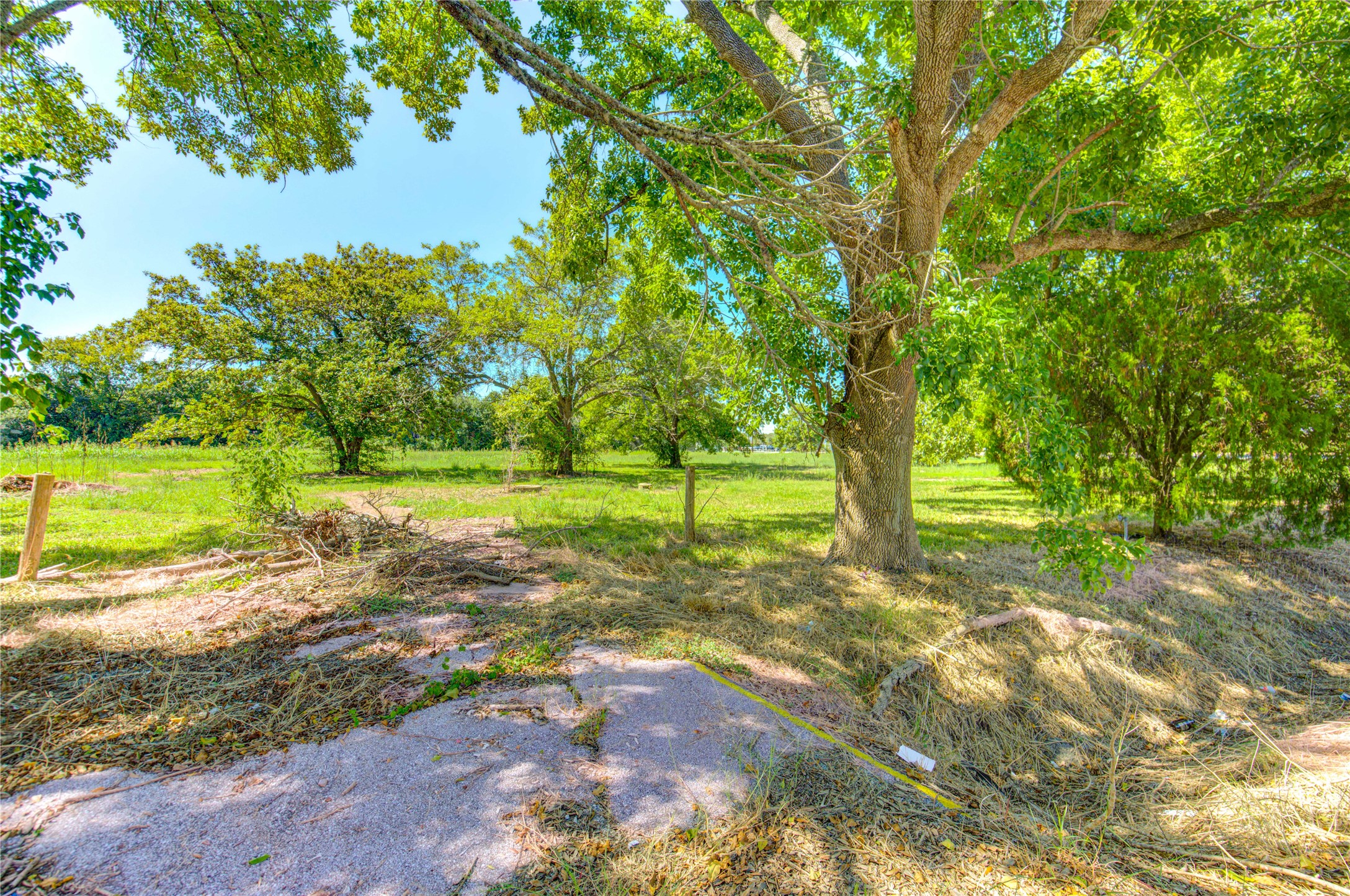 5604 Broadway Street Pearland, TX 77581 - Photo 2 of 8 a view of a yard with plants and large trees