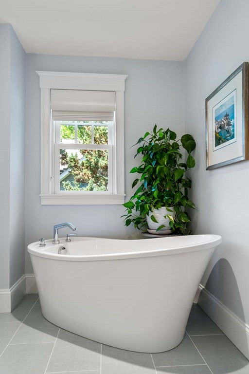 29 Royce Road Newton, MA 02459 - Photo 20 of 38 a white vase with a potted plant