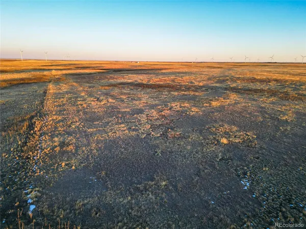 an aerial view of ocean and trees