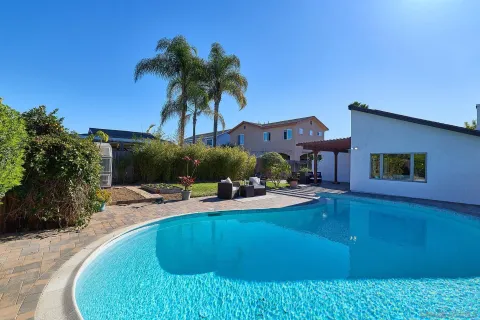 a view of a swimming pool with potted plants and palm trees