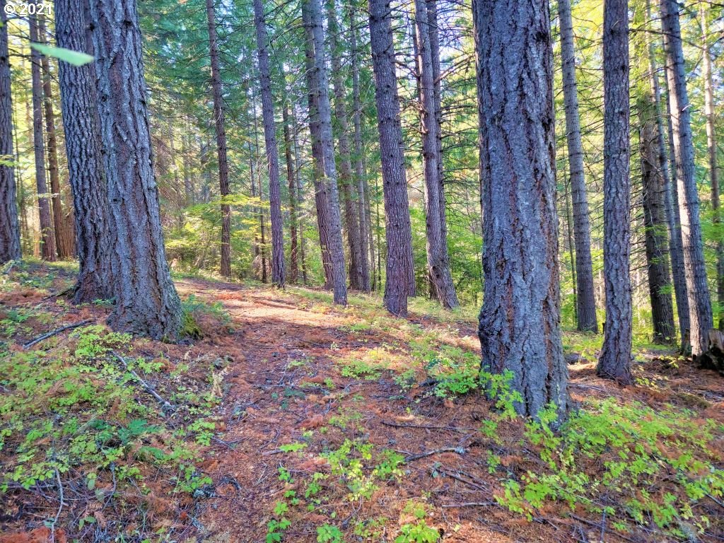 Chuckwagon Road, Unit 23 24 Appleton, WA 98602 - Photo 11 of 29 Gallery Image 11