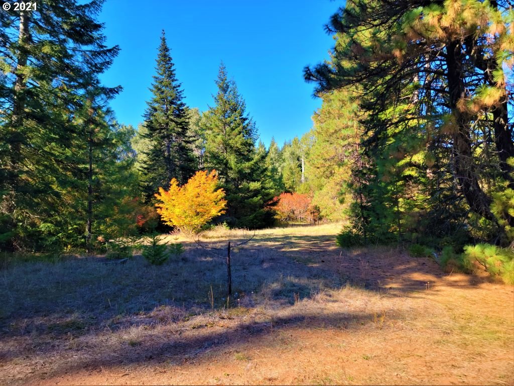 Chuckwagon Road, Unit 23 24 Appleton, WA 98602 - Photo 14 of 29 Gallery Image 14