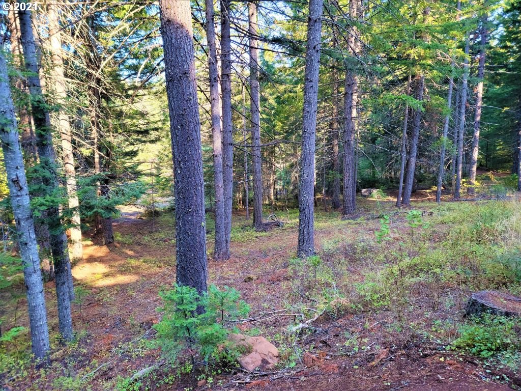 Chuckwagon Road, Unit 23 24 Appleton, WA 98602 - Photo 19 of 29 Gallery Image 19