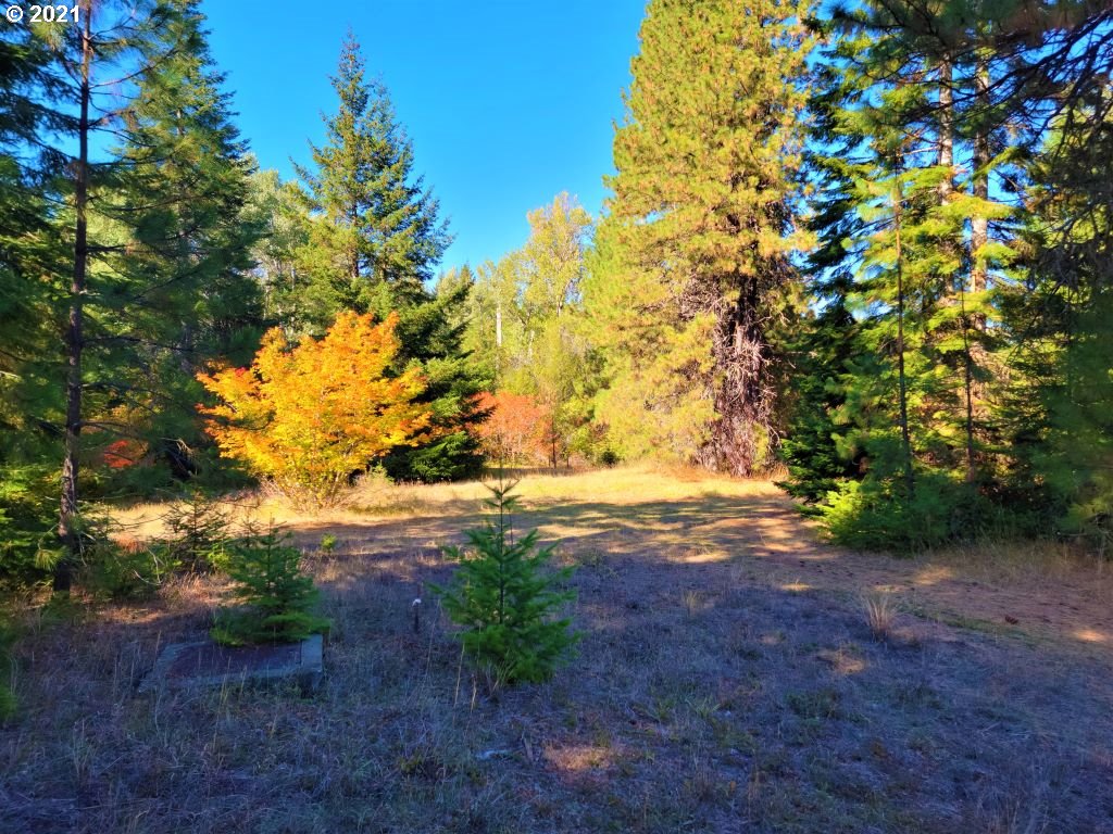 Chuckwagon Road, Unit 23 24 Appleton, WA 98602 - Photo 20 of 29 Gallery Image 20