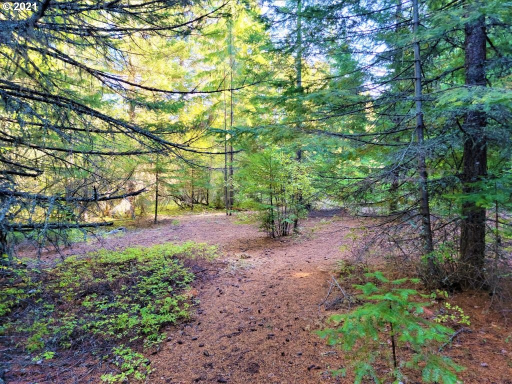 Chuckwagon Road, Unit 23 24 Appleton, WA 98602 - Photo 21 of 29 Gallery Image 21