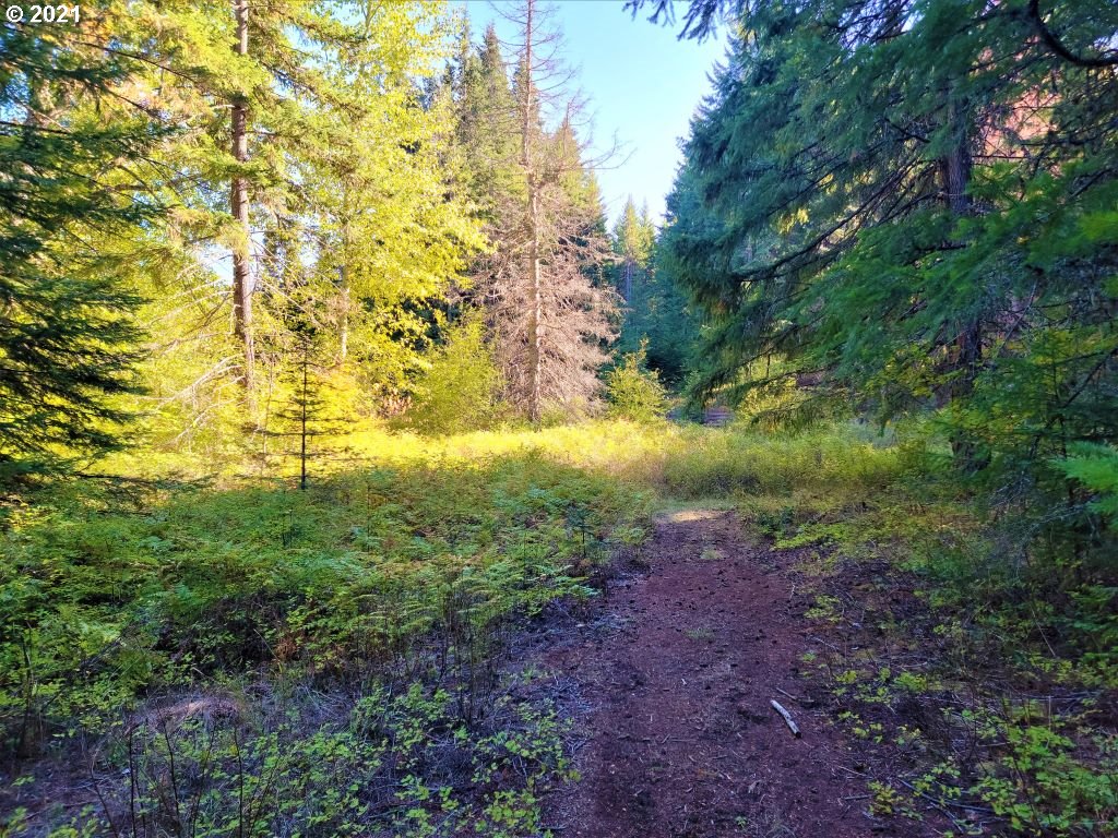 Chuckwagon Road, Unit 23 24 Appleton, WA 98602 - Photo 22 of 29 Gallery Image 22