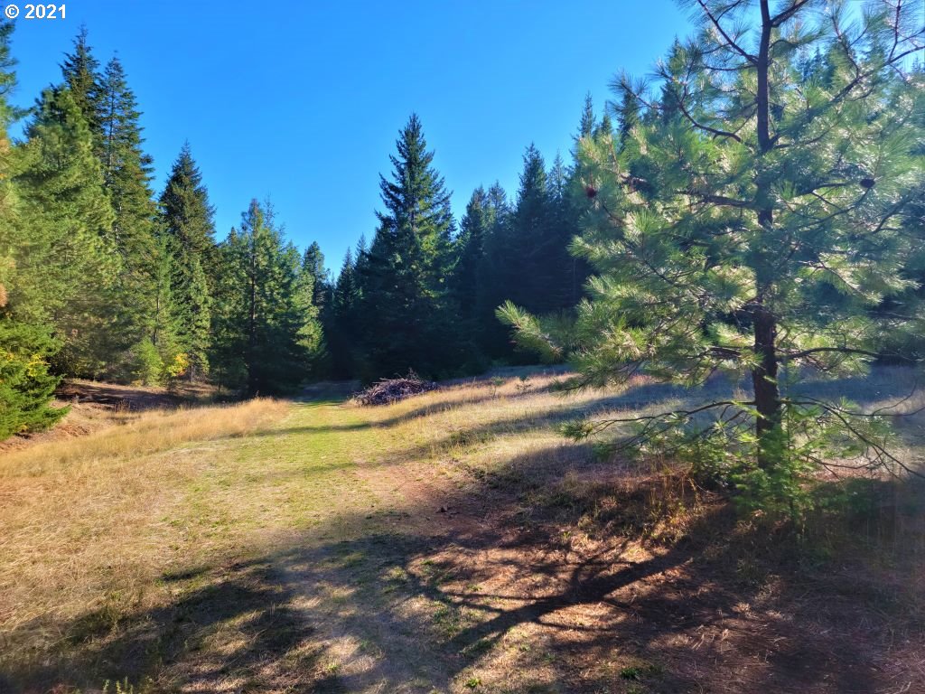 Chuckwagon Road, Unit 23 24 Appleton, WA 98602 - Photo 23 of 29 Gallery Image 23
