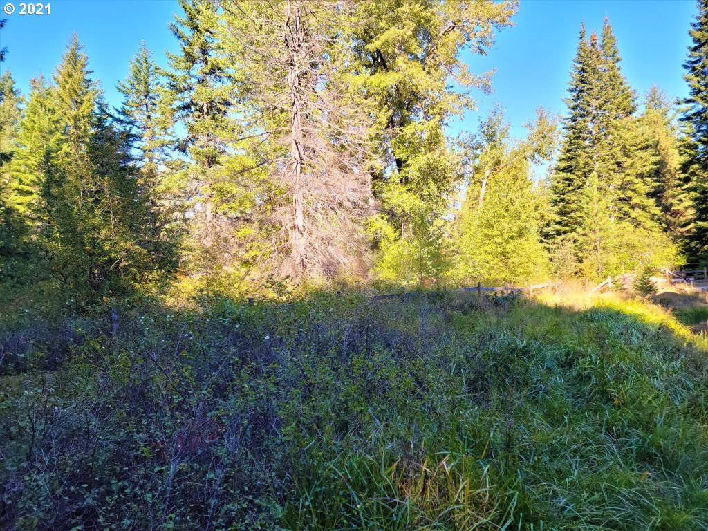 Chuckwagon Road, Unit 23 24 Appleton, WA 98602 - Photo 26 of 29 Gallery Image 26