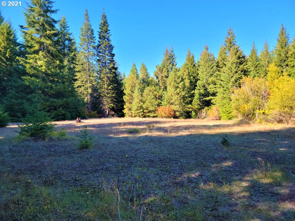 Chuckwagon Road, Unit 23 24 Appleton, WA 98602 - Photo 28 of 29 Gallery Image 28