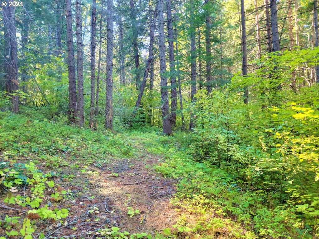 Chuckwagon Road, Unit 23 24 Appleton, WA 98602 - Photo 29 of 29 Gallery Image 29