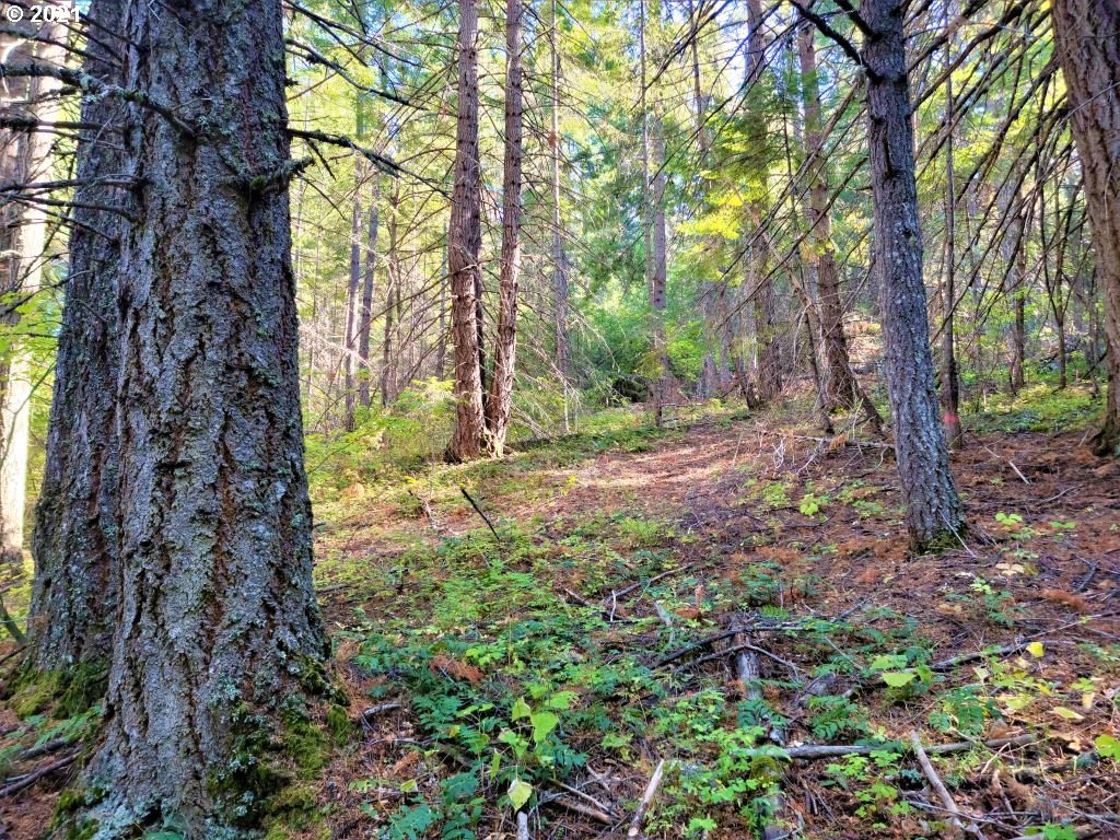 Chuckwagon Road, Unit 23 24 Appleton, WA 98602 - Photo 9 of 29 Gallery Image 9