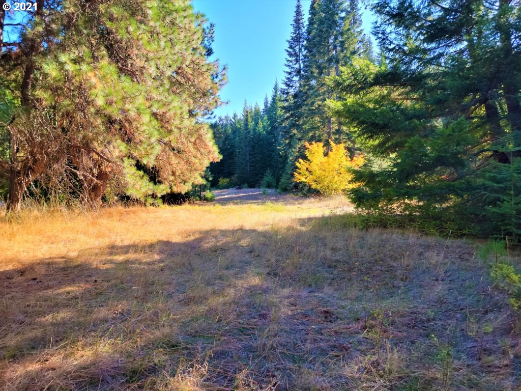 Chuckwagon Road, Unit 23 24 Appleton, WA 98602 - Photo 10 of 29 Gallery Image 10