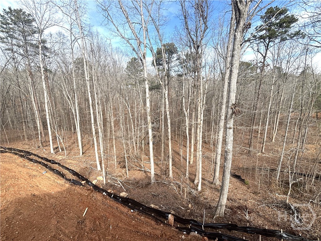 2012 Shoal Creek Way Bishop, GA 30621 - Photo 16 of 17