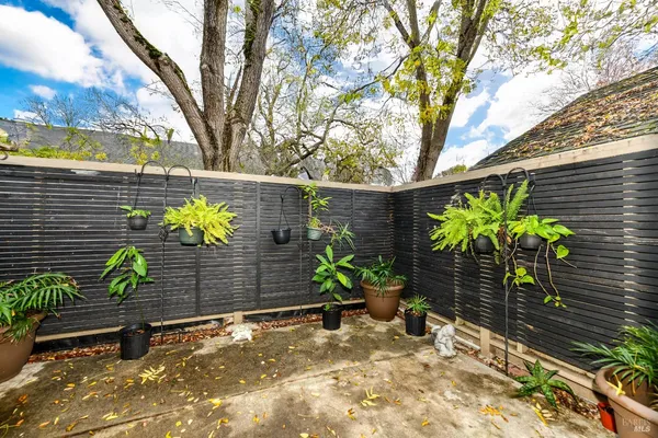 a potted plant sitting in front of a house