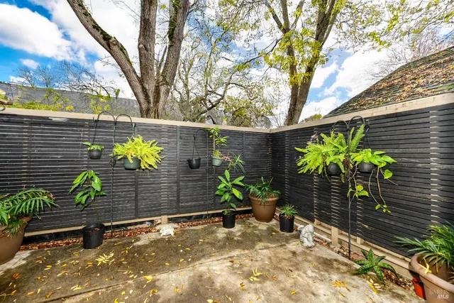 a potted plant sitting in front of a house
