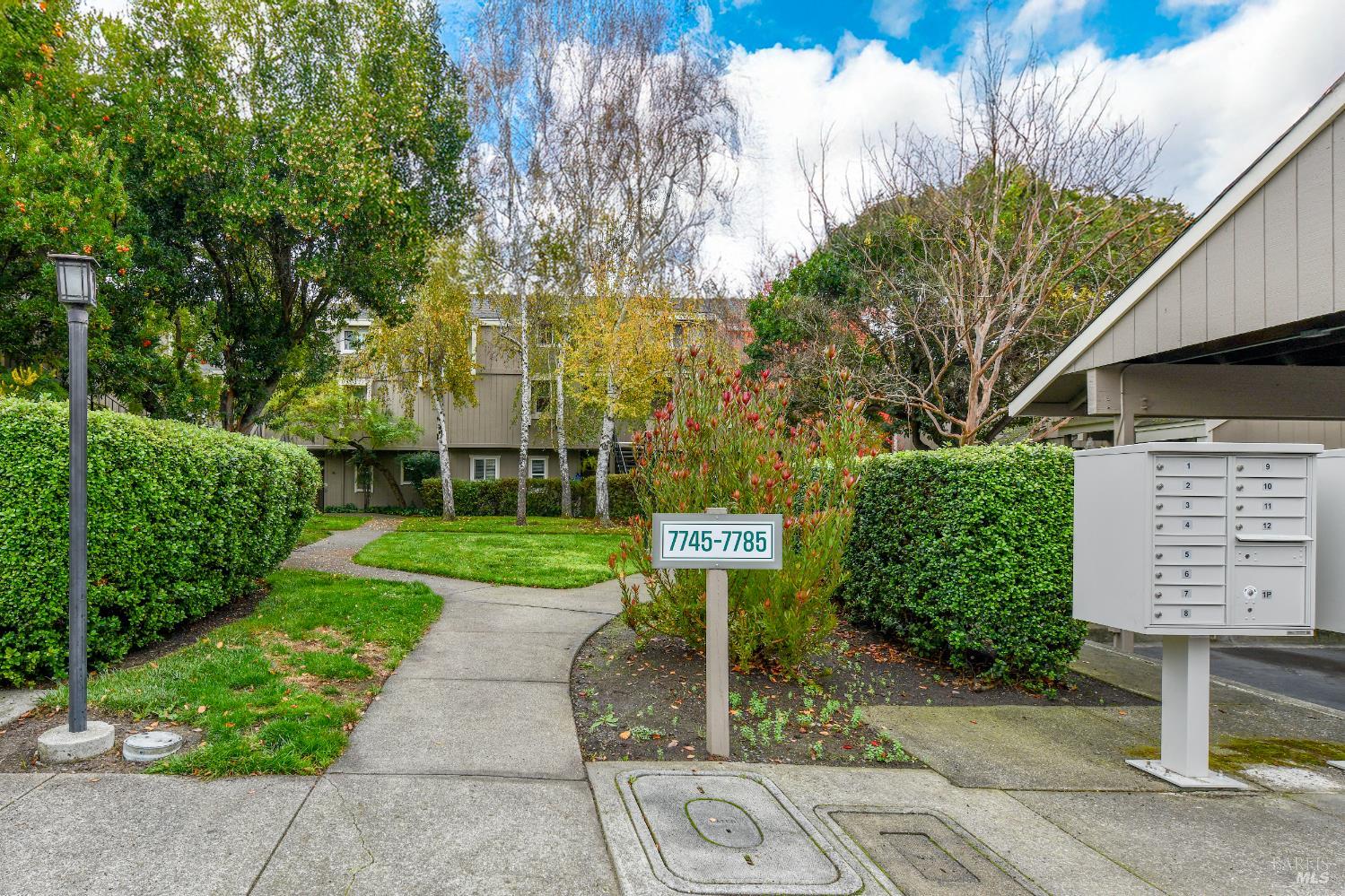 7755 Camino Colegio Rohnert Park, CA 94928 - Photo 4 of 26 a view of a back yard