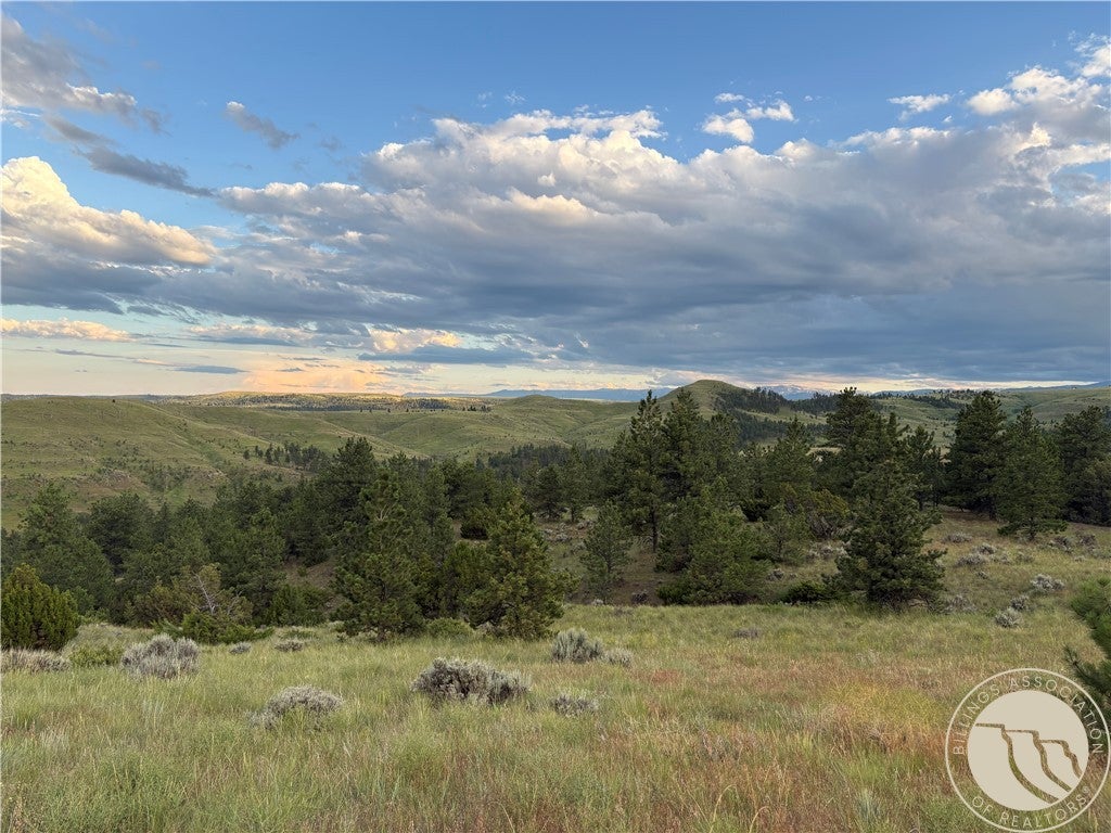 Lot 94 Owl Canyon Road Reed Point, MT 59069 - Photo 3 of 11 Gallery Image 3
