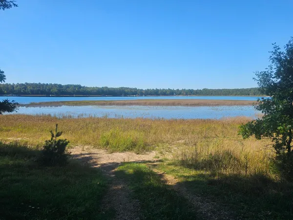 $92,500 | Xx East Bass Lake Drive, Webster, WI 54893